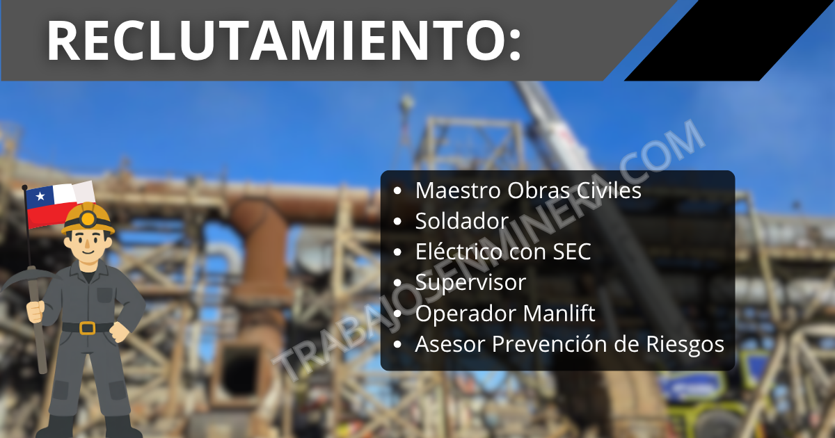 EFFIZIENZ abre reclutamiento