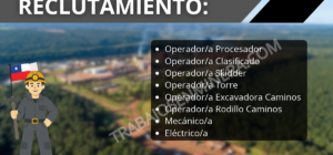 Forestal Arauco abre reclutamiento en Valdivia