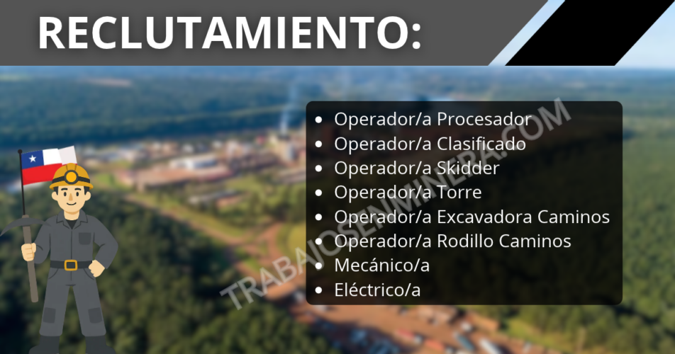 Forestal Arauco abre reclutamiento en Valdivia