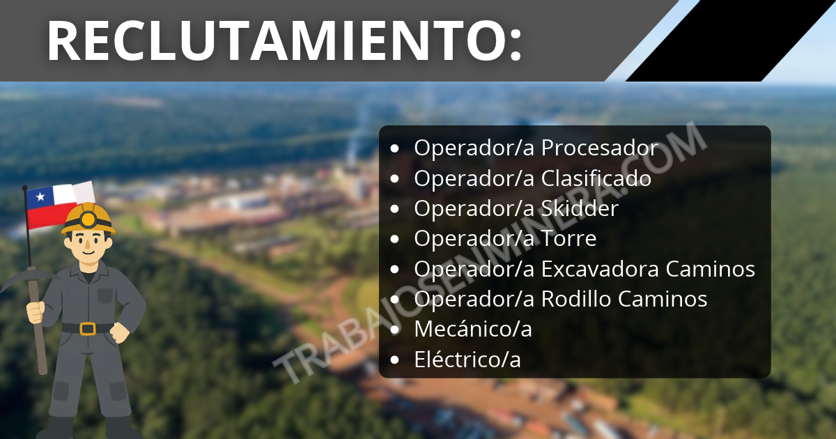 Forestal Arauco abre reclutamiento en Valdivia