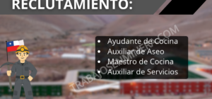Newrest abrió un proceso de reclutamiento
