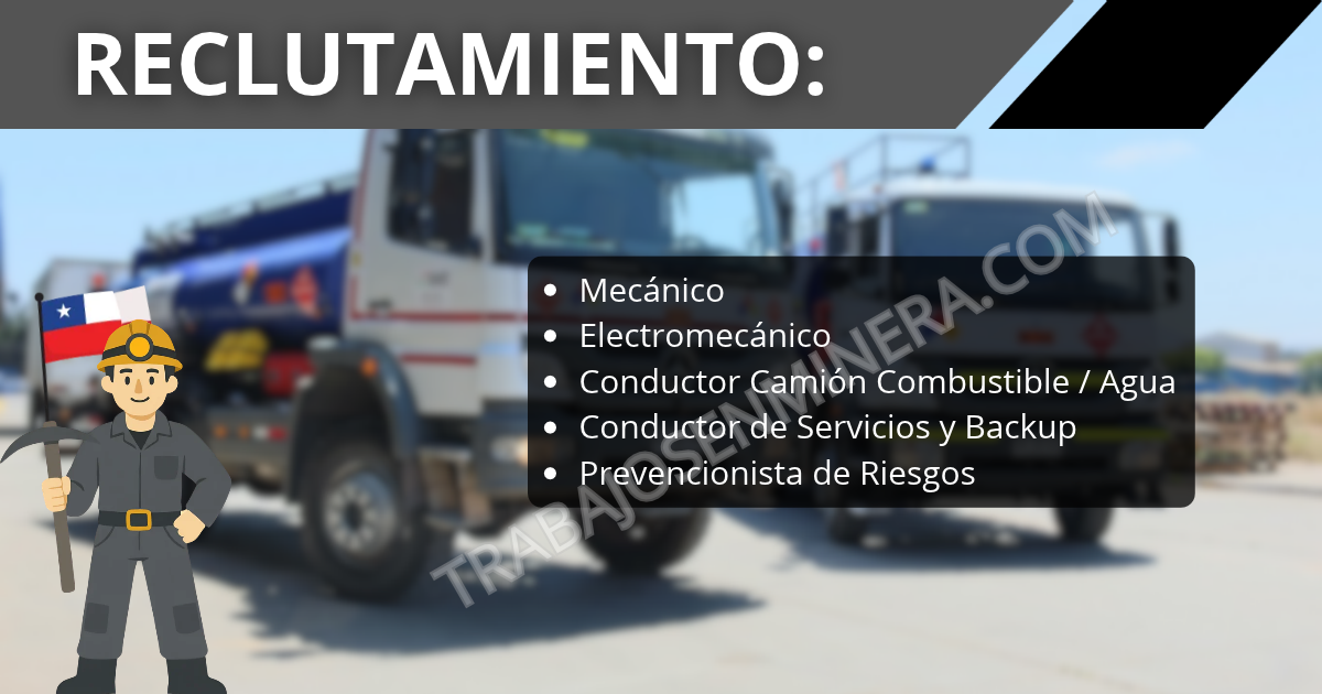 Pillado Empresas abre reclutamiento