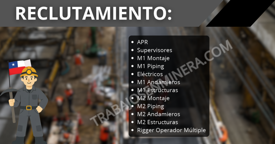SEMINET realizará reclutamiento masivo